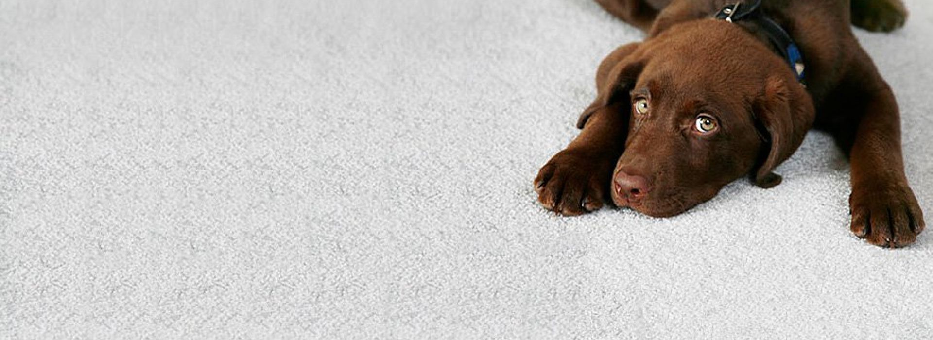 Видалення запахів та волосся